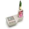 Máy đo pH/mV để bàn hanna HI 207